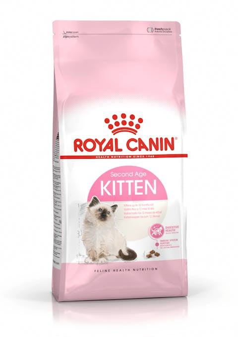 רויאל קנין קיטין royal canin