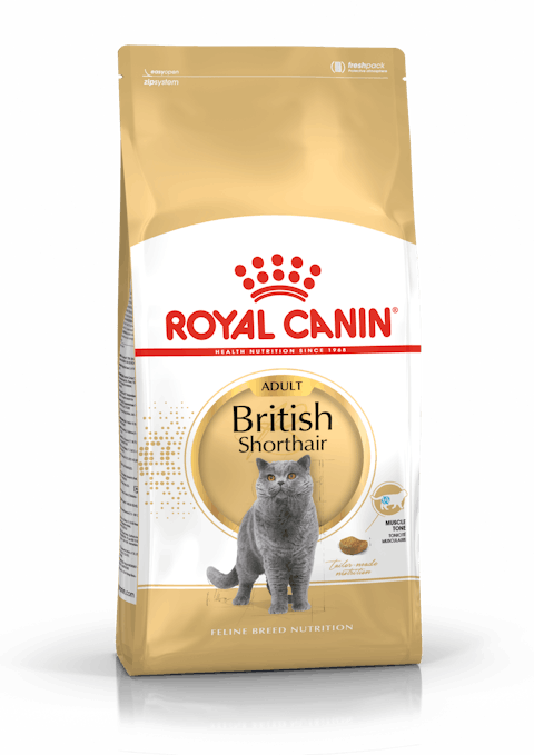 רויאל קנין בריטי royal canin
