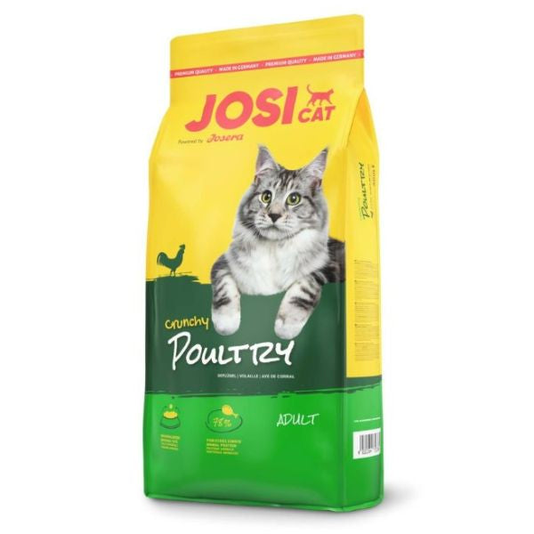 Josi cat ג׳וסי קט