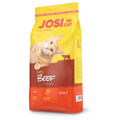 Josi cat ג׳וסי קט