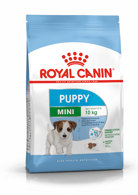 רויאל קנין גורים מיני royal canin