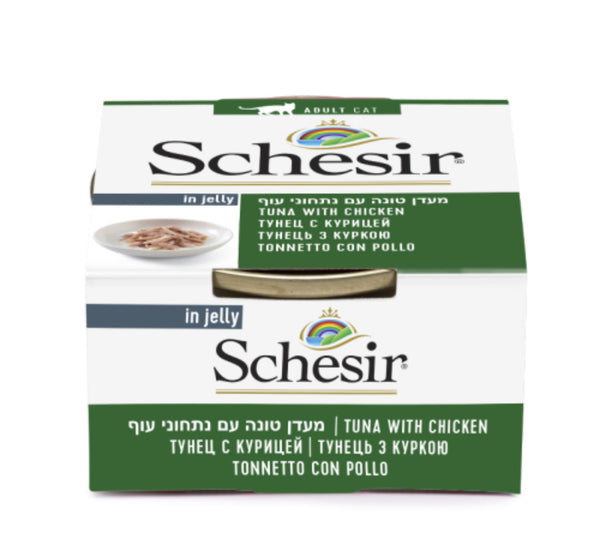 Schesir